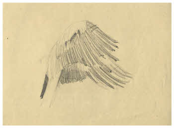 Visualizza l'immagine "FD D 1856"